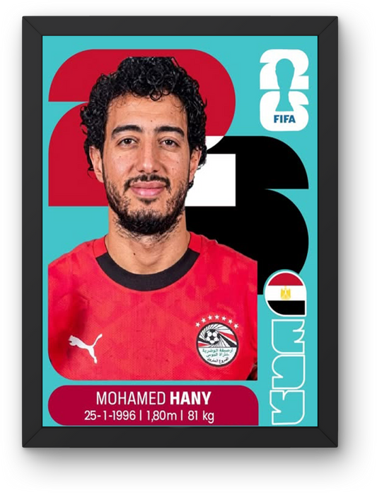 Mohamed Hany