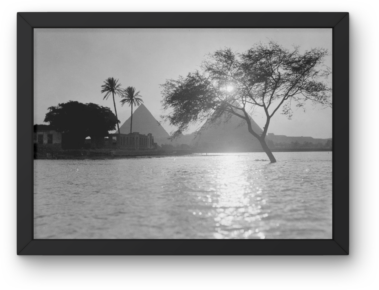 Giza Plateu