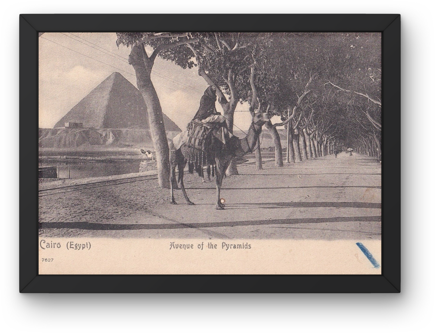 The Pyramids