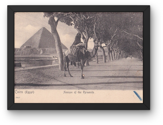 The Pyramids