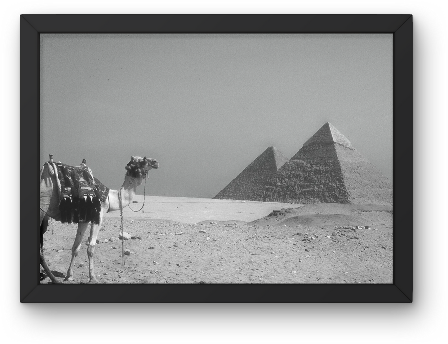 The Pyramids