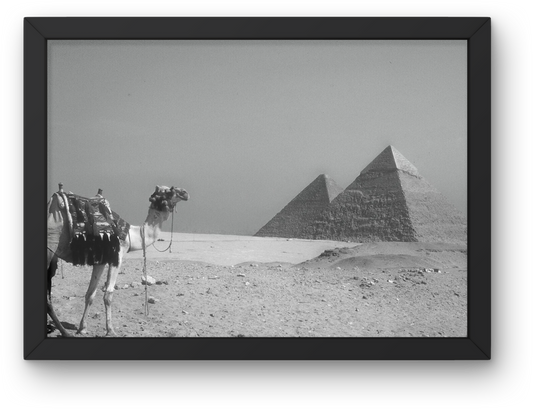 The Pyramids