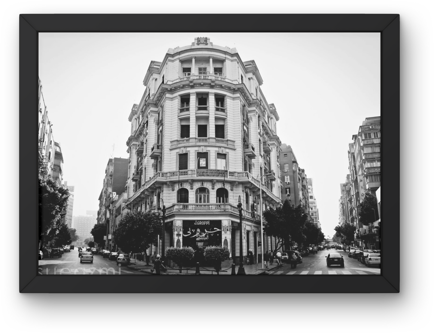 Groppi cairo