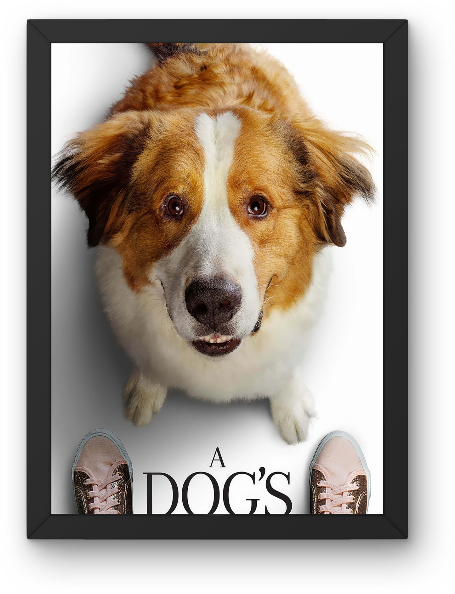 A Dog_s Journey (2019)