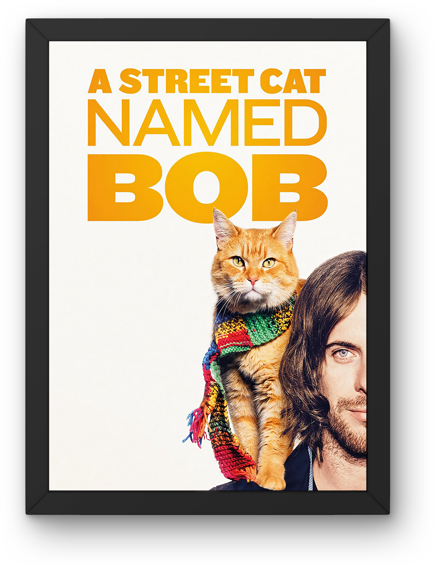 A Street Cat Named Bob (2016)