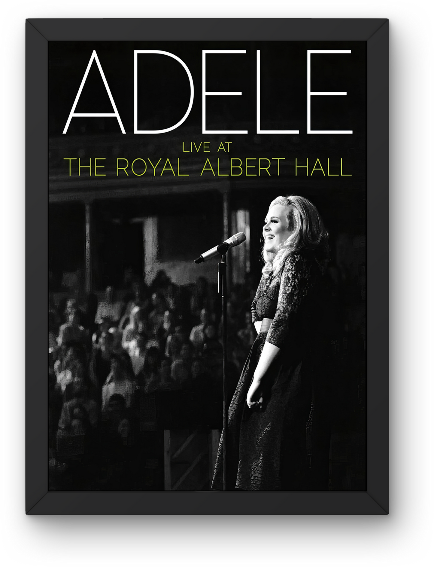 Adele Live at the Royal Albert Hall (2011)