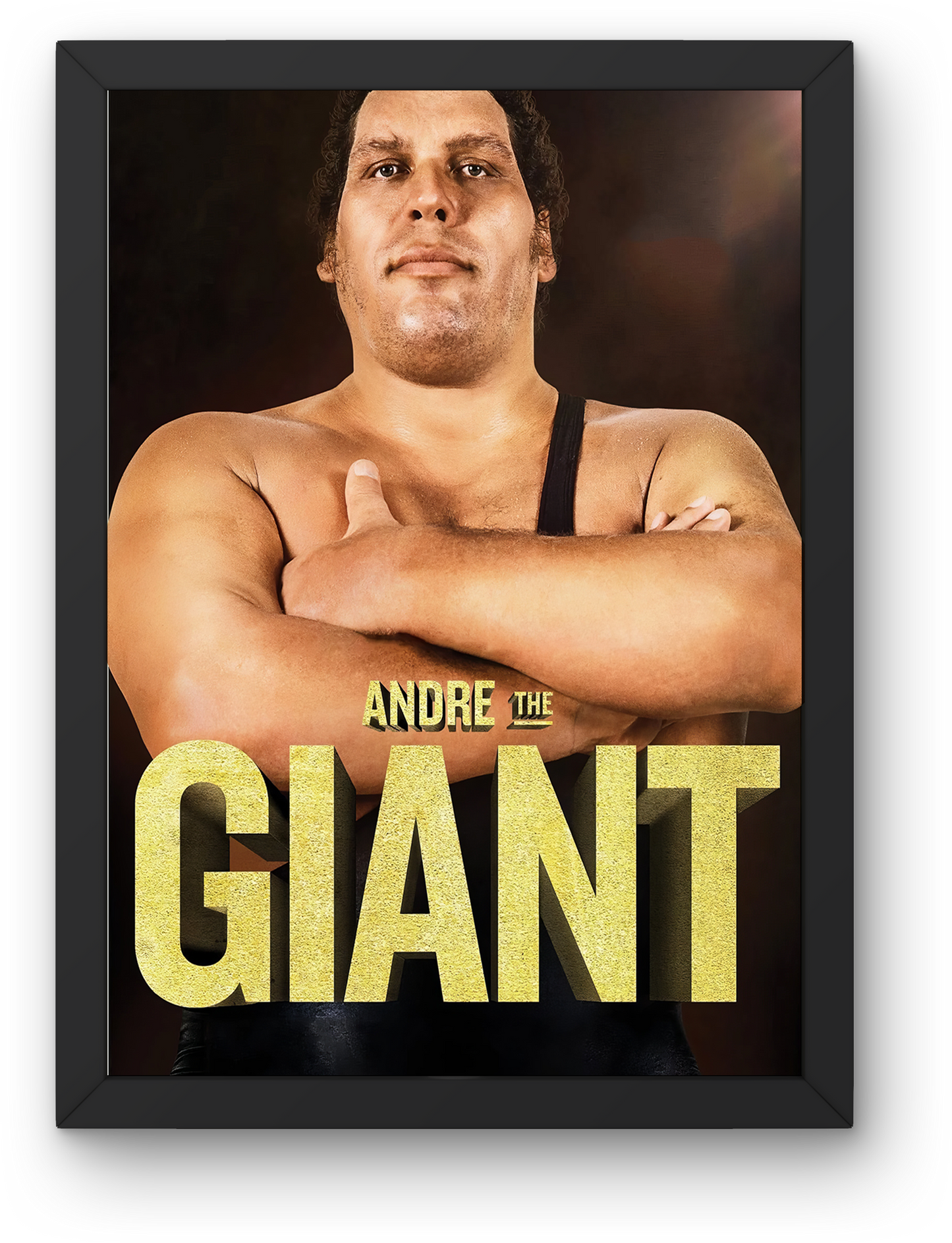 Andre the Giant (2018)