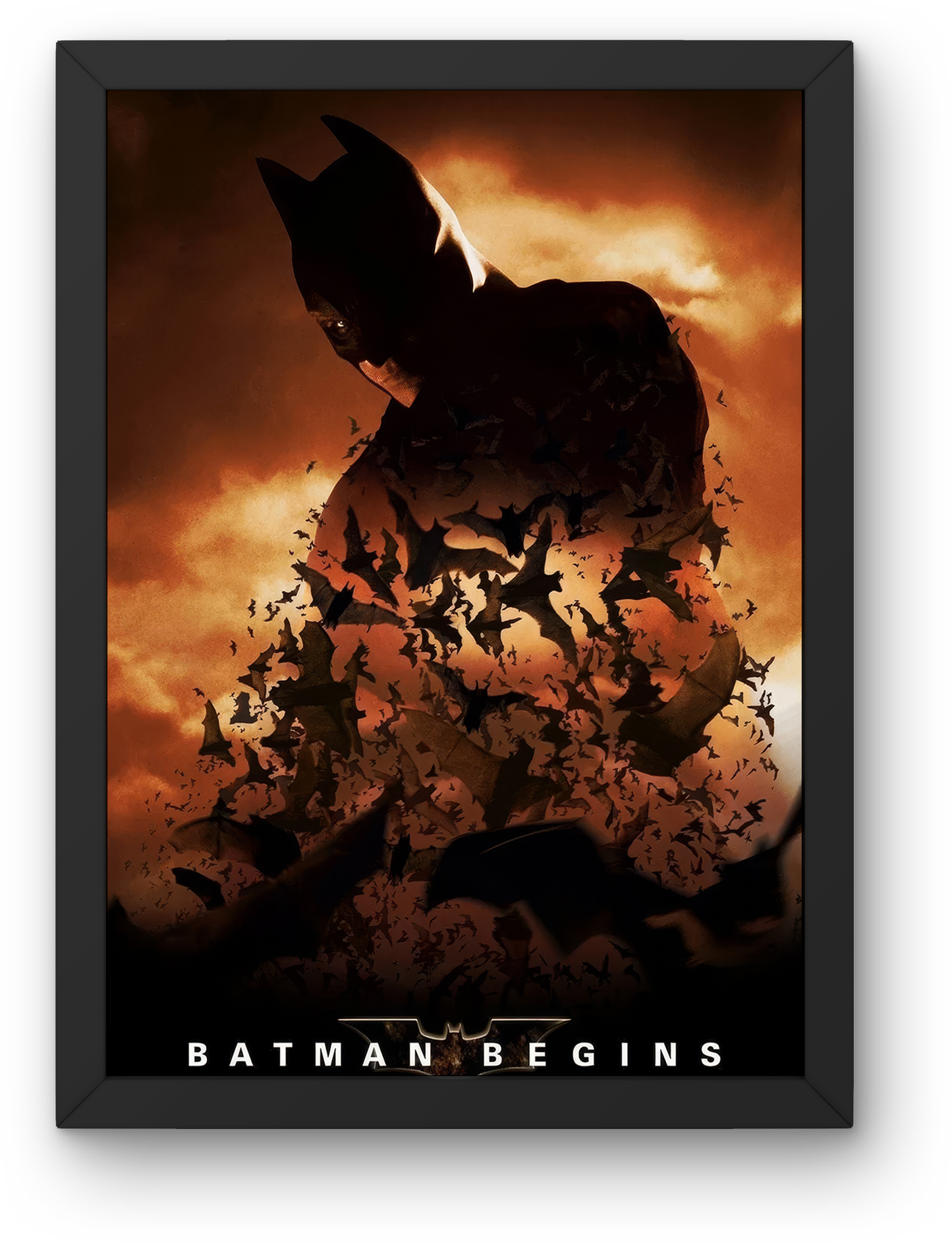 Batman Begins (2005)