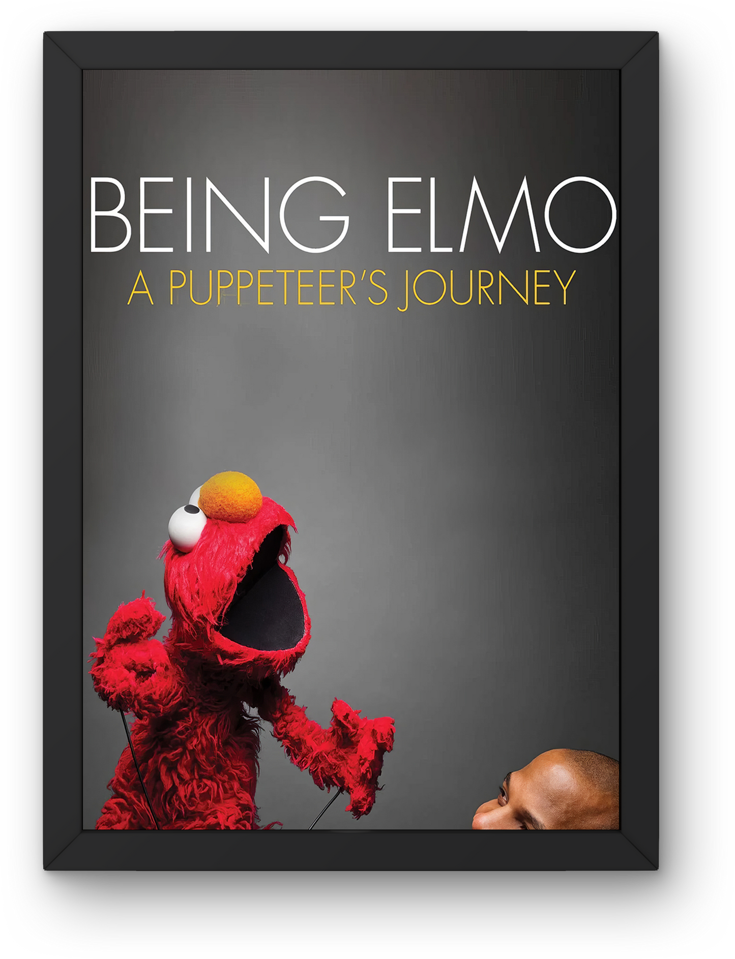 Being Elmo A Puppeteer_s Journey (2011)
