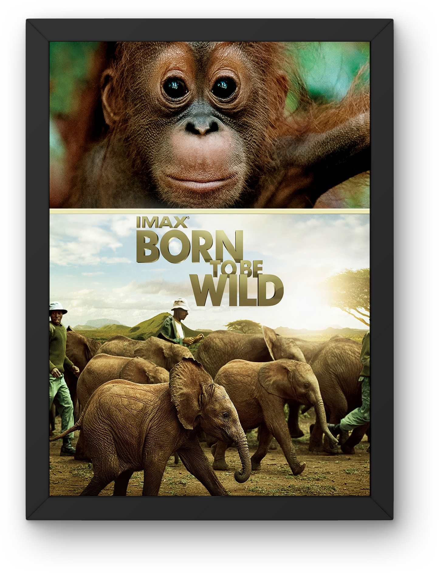 Born to Be Wild (2011)