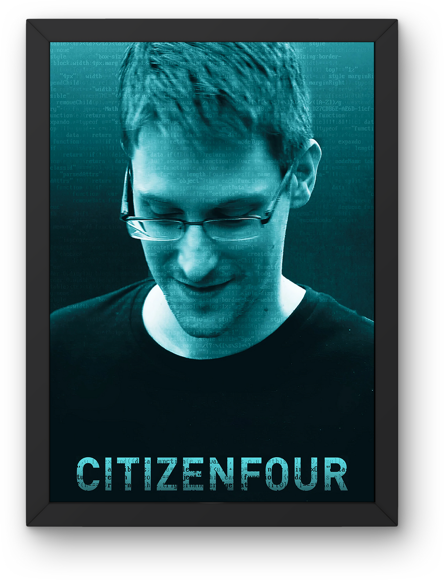 Citizenfour (2014)