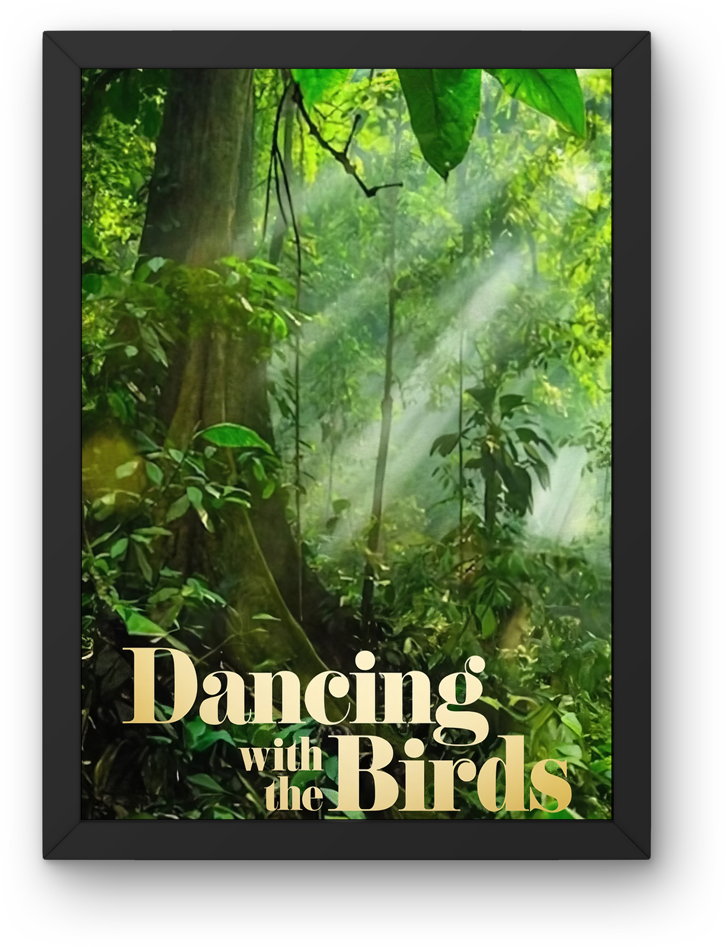 Dancing with the Birds (2019)