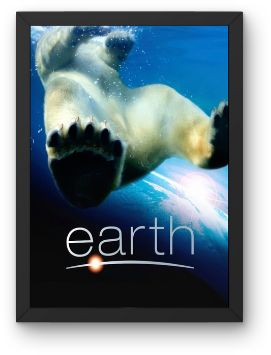 Earth (2007)