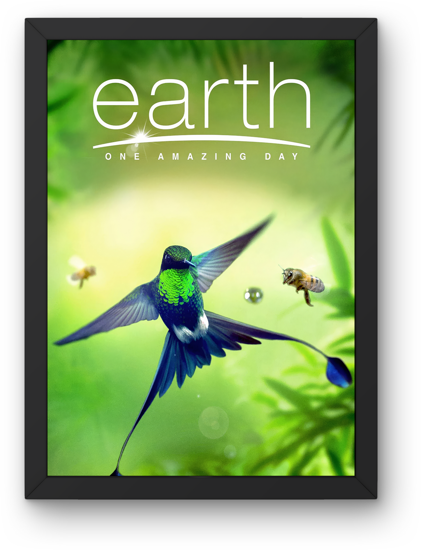 Earth One Amazing Day (2017)