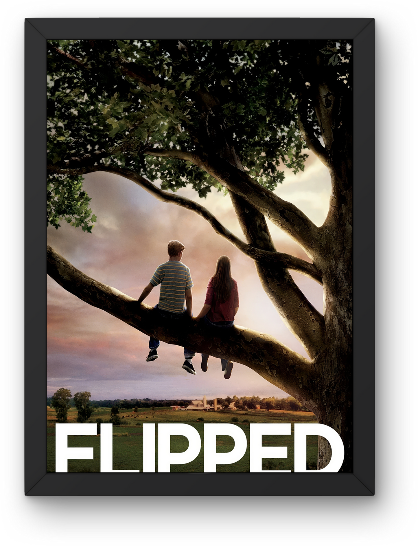 Flipped (2010)