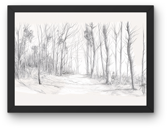 Pencil Birch Forest