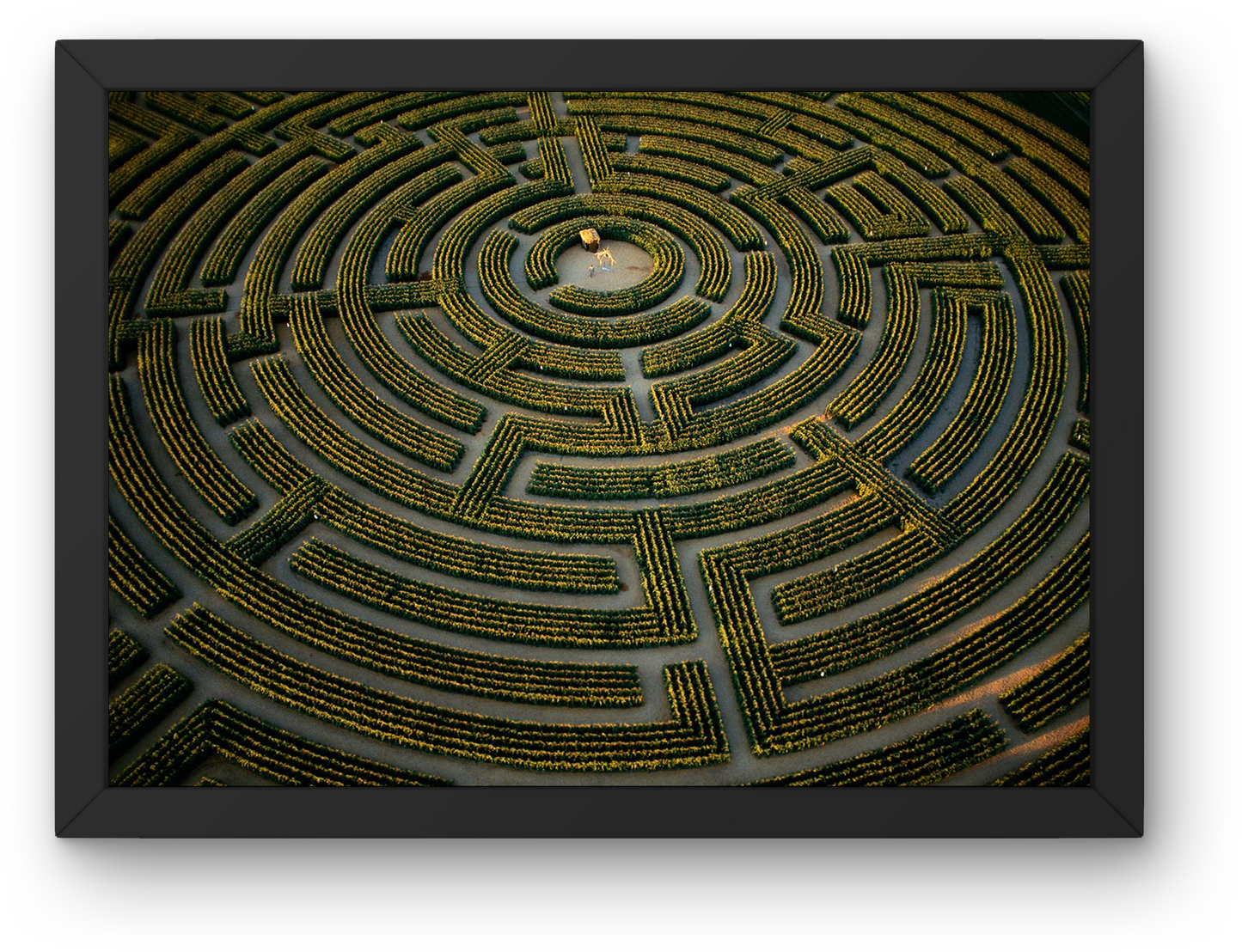 Hedge Maze Aerial