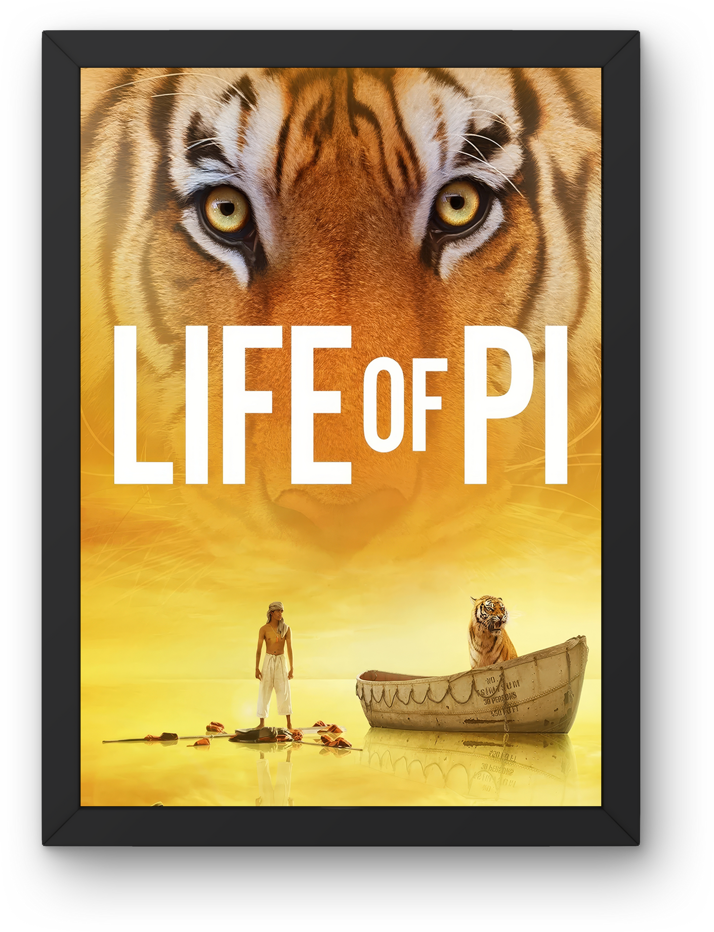 Life of Pi (2012)