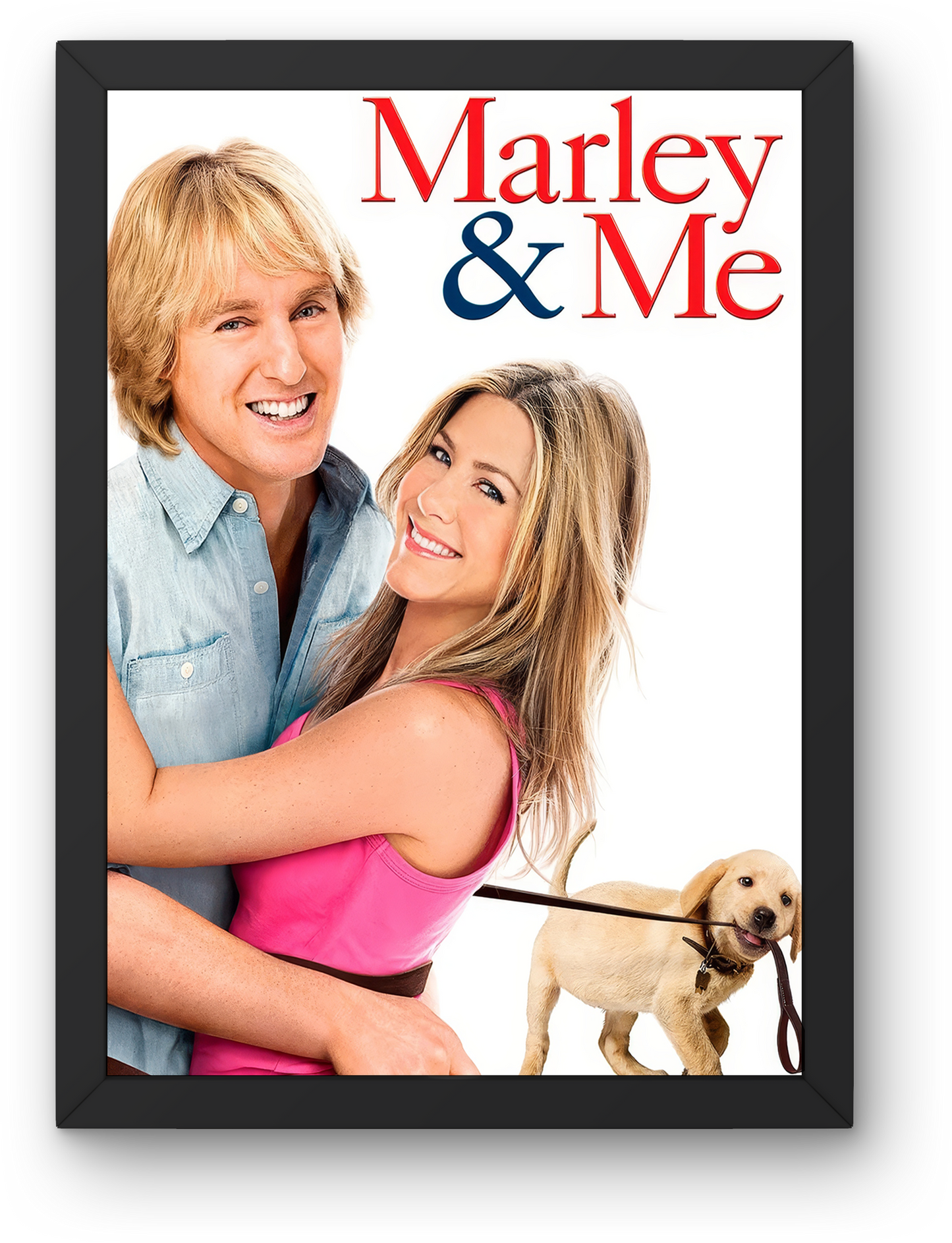 Marley & Me (2008)