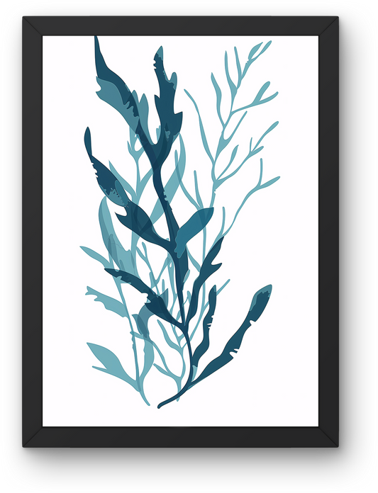 Blue Kelp