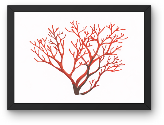 Red Coral Branch