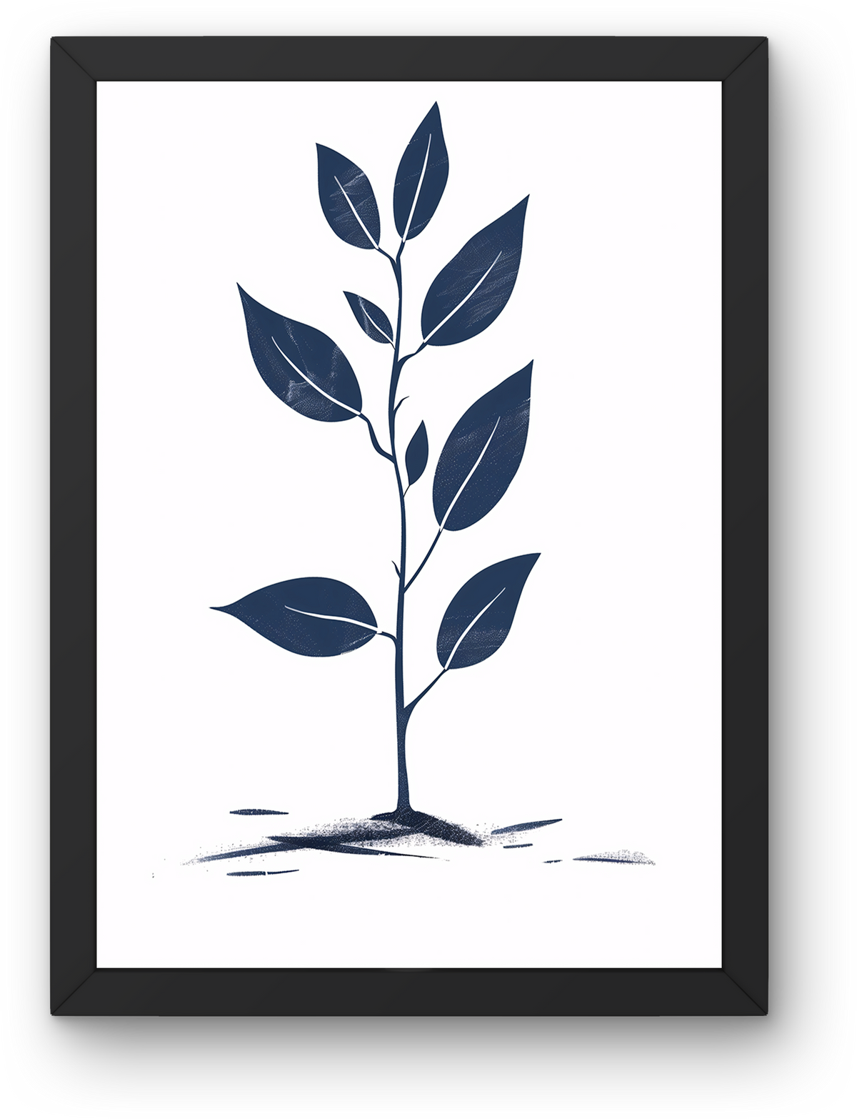 Navy Sapling