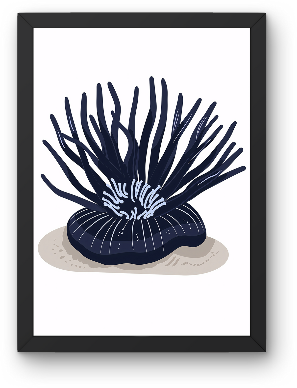 Navy Sea Anemone