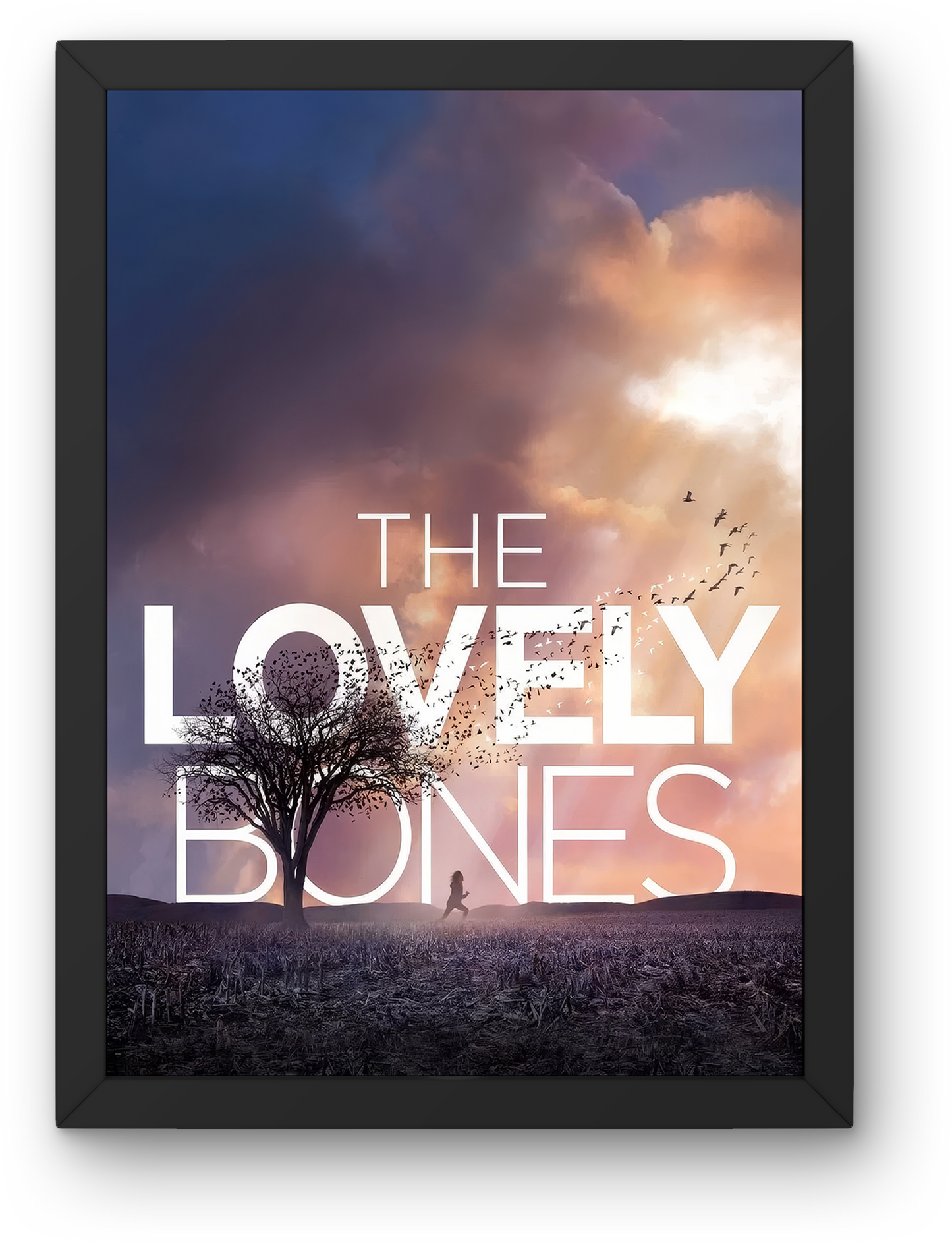 The Lovely Bones (2009)